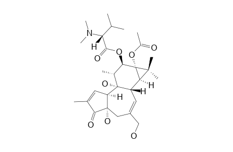 12-O-[(2-R)-N,N-DIMETHYL-3-METHYLBUTANOYL]-PHORBOL_13-ACETATE