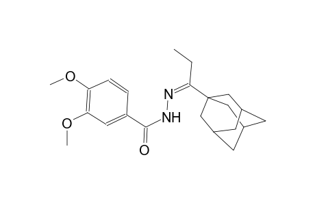 N'-[(Z)-1-(1-adamantyl)propylidene]-3,4-dimethoxybenzohydrazide
