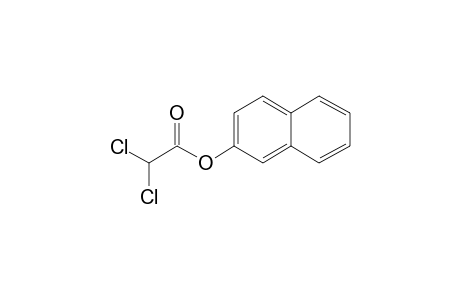 Dichloroacetic acid, 2-naphthyl ester