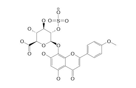 ISOSCUTELLAREIN-4'-METHYLETHER-8-O-BETA-D-GLUCURONIDE-2''-SULFATE
