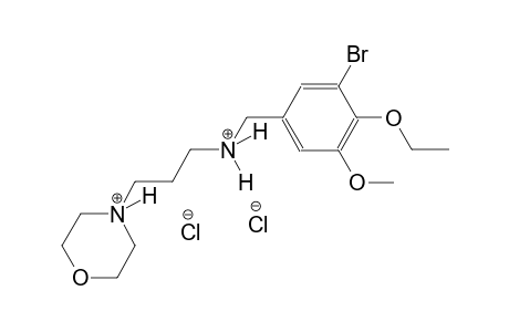 4-{3-[(3-bromo-4-ethoxy-5-methoxybenzyl)ammonio]propyl}morpholin-4-ium dichloride