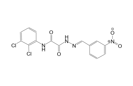 N-(2,3-dichlorophenyl)-2-[(2E)-2-(3-nitrobenzylidene)hydrazino]-2-oxoacetamide
