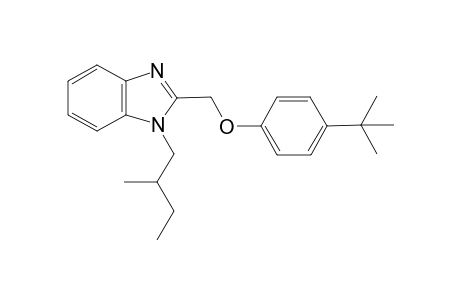 1H-1,3-Benzimidazole, 2-[[4-(1,1-dimethylethyl)phenoxy]methyl]-1-(2-methylbutyl)-