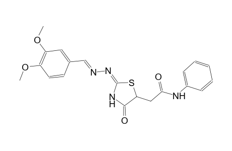 2-{(2E)-2-[(2E)-2-(3,4-dimethoxybenzylidene)hydrazono]-4-oxo-1,3-thiazolidin-5-yl}-N-phenylacetamide