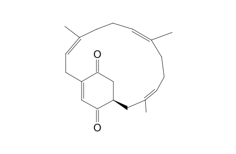 LONGITHORONE-K