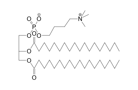 1,2-DI-O-STEAROYLGLYCEROPHOSPHOCHOLINE