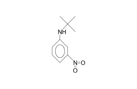 3-Nitro-N-tert-butyl-aniline