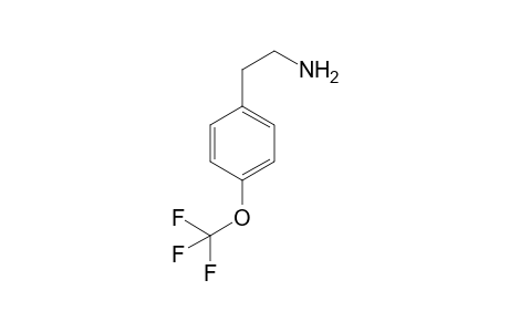 4-(Trifluoromethoxy)phenethylamine