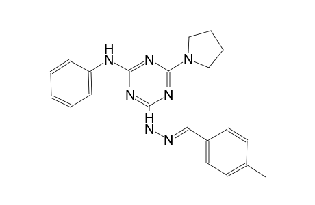 benzaldehyde, 4-methyl-, [4-(phenylamino)-6-(1-pyrrolidinyl)-1,3,5-triazin-2-yl]hydrazone