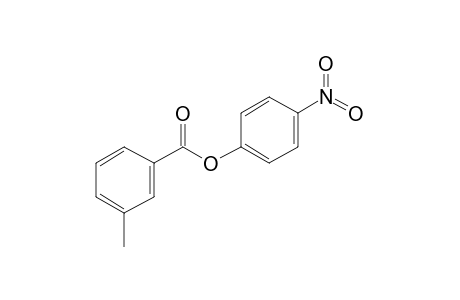 3-Methylbenzoic acid (4-nitrophenyl) ester