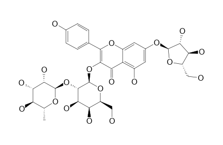KAEMPFEROL-3-O-ALPHA-L-RHAMNOPYRANOSYL-(1->2)-BETA-D-GALACTOPYRANOSIDE-7-O-ALPHA-L-ARABINOFURANOSIDE