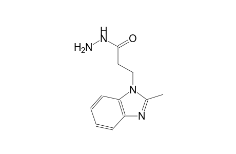 1H-benzimidazole-1-propanoic acid, 2-methyl-, hydrazide