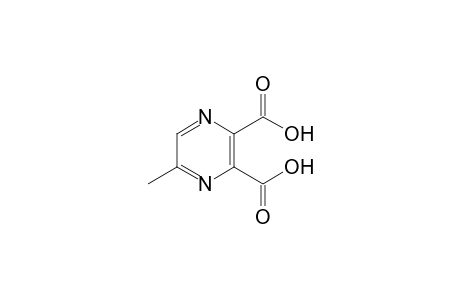 5-methyl-2,3-pyrazinedicarboxylic acid