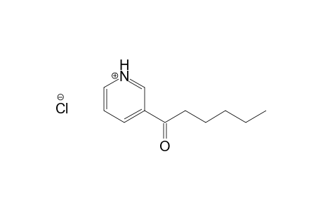 1-(3-Pyridyl)hexan-1-one, hydrochloride