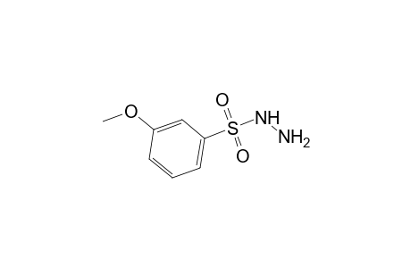 Benzenesulfonic acid, 3-methoxy-, hydrazide