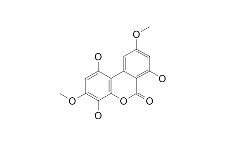 GRAPHISLACTONE-E