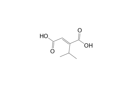 (E)-2-isopropylbut-2-enedioic acid