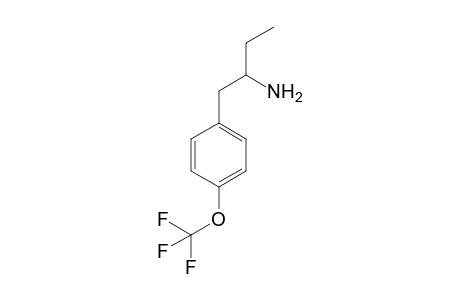 1-(4-(Trifluoromethoxy)phenyl)butan-2-amine