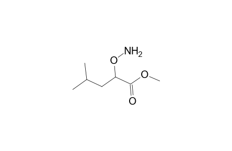 Methyl 2-(aminooxy)-4-methylpentanoate