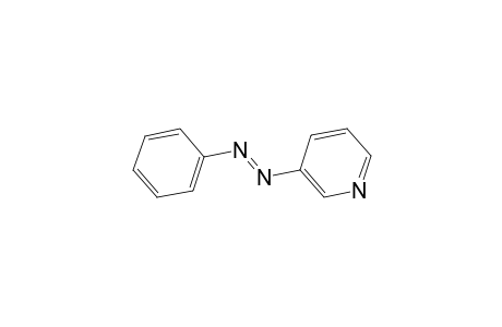 Pyridine, 3-(phenylazo)-