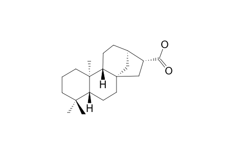 16beta-Hydro-ent-kauran-17-oic acid