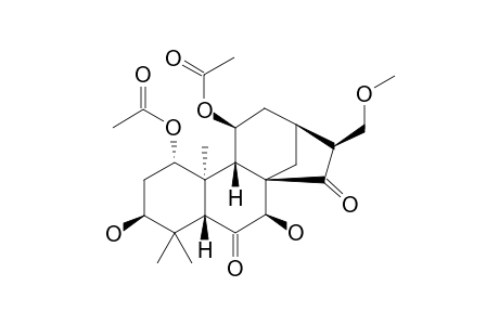 TENUIFOLIN_M;16-(R)-3-BETA,7-BETA-DIHYDROXY-17-METHOXY-1-ALPHA,11-BETA-DIACETOXY-ENT-KAUR-6,15-DIONE