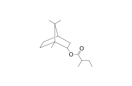 Isobornyl 2-methyl butanoate