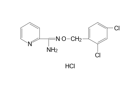 O-(2,4-DICHLOROBENZYL)PICOLINAMIDOXIME, MONOHYDROCHLORIDE