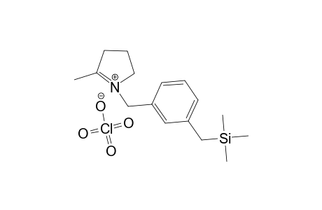 2-METHYL-1-[META-[(TRIMETHYLSILYL)-METHYL]-BENZYL]-1-PYRROLINIUM-PERCHLORATE