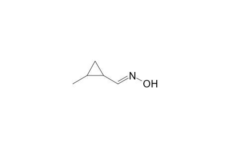 trans-2-Methylcyclopropanecarbaldoxime