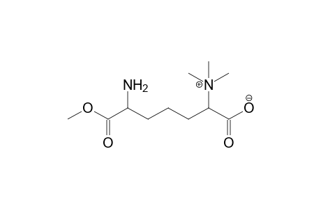 2-(N,N,N-Trimethylamino)-7-(methoxycarbonyl)-6-aminoheptanoate - Internal Salt