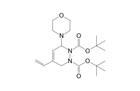 ditert-butyl 3-morpholino-5-vinyl-3,6-dihydropyridazine-1,2-dicarboxylate