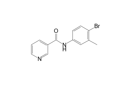 N-(4-bromo-3-methyl-phenyl)-nicotinamide