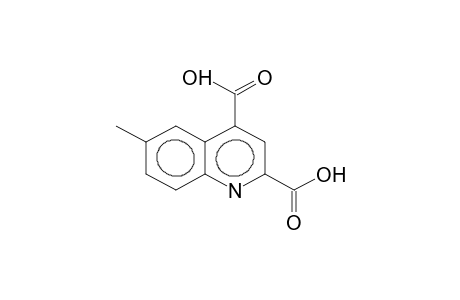 6-methylquinoline-2,4-dicarboxylic acid