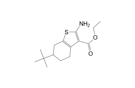 ethyl 2-amino-6-tert-butyl-4,5,6,7-tetrahydro-1-benzothiophene-3-carboxylate