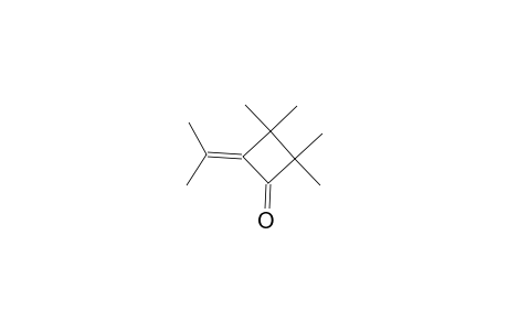 Cyclobutanone, 4-isopropylidene-2,2,3,3-tetramethyl-