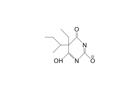 5-sec-Butyl-5-ethyl-barbiturate anion
