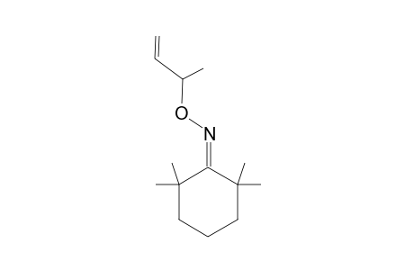 O-(But-1-en-3-yl)-2,2,6,6-tetramethylcyclohexanone Oxime