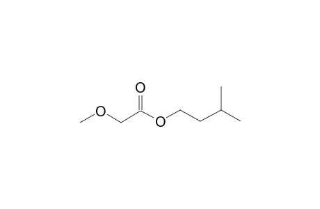 Methoxyacetic acid, 3-methylbutyl ester