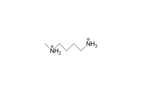N-Methyl-putrescine dication