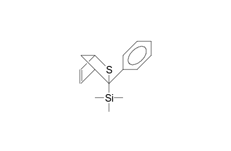 3-exo-Phenyl-3-endo-trimethylsilyl-2-thia-bicyclo(2.2.1)hept-5-ene