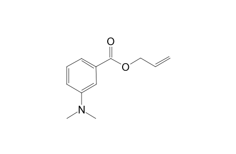 Allyl 3-(dimethylamino)benzoate