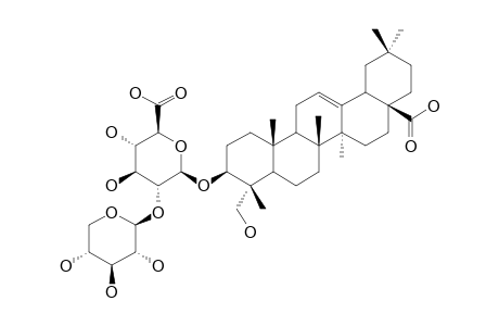 3-O-BETA-XYLOPYRANOSYL-(1->2)-GLUCURONOPYRANOSYL-HEDERAGENIN