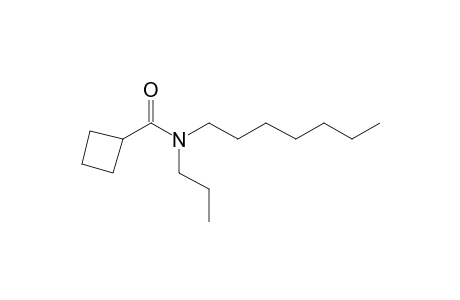 Cyclobutanecarboxamide, N-propyl-N-heptyl-