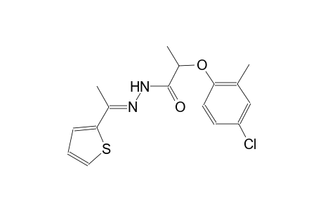 2-(4-chloro-2-methylphenoxy)-N'-[(E)-1-(2-thienyl)ethylidene]propanohydrazide