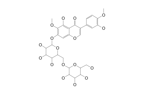 5,7,3'-TRIHYDROXY-6,4'-DIMETHOXYISOFLAVONE-7-O-[BETA-D-GLUCOPYRANSOYL-(1->6)-BETA-D-GLUCOPYRANOSIDE]