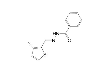 N'-[(E)-(3-methyl-2-thienyl)methylidene]benzohydrazide