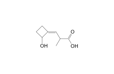 (3Z)-2-methyl-3-(2-oxidanylcyclobutylidene)propanoic acid