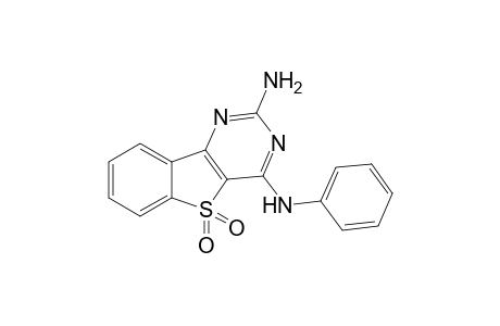 2-Amino-4-phenylaminobenzo[4,5]thieno[3,2-d]pyrimidine 5,5-dioxide