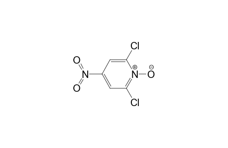 2,6-Dichloro-4-nitropyridine N-oxide